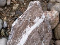 Hellbrauner Stein mit dicker Mittelmaserung und feinen weißen Linien